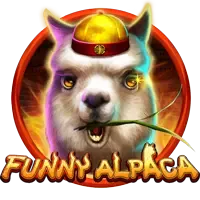 Funny Alpaca